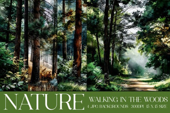 Download Walk in the Woods Nature Backgrounds, S3 - Backgrounds Collection