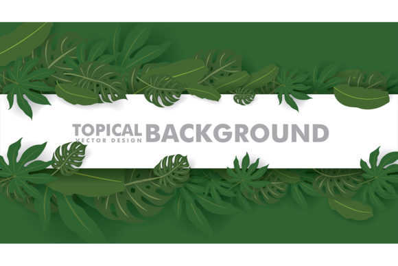 Download Frame Made of Fresh Green Tropical Leave - Frame Collection