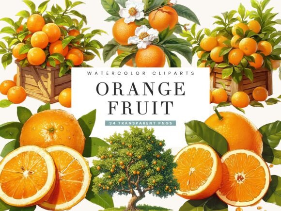 Download Watercolor Italy Orange Fruit Clipart - Italy Collection