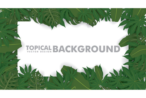 Download Frame Made of Fresh Green Tropical Leave - Frame Collection